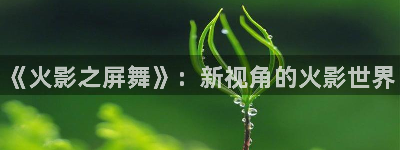 达达兔午夜起神影院在线观看：《火影之屏舞》：新视角的火影世界