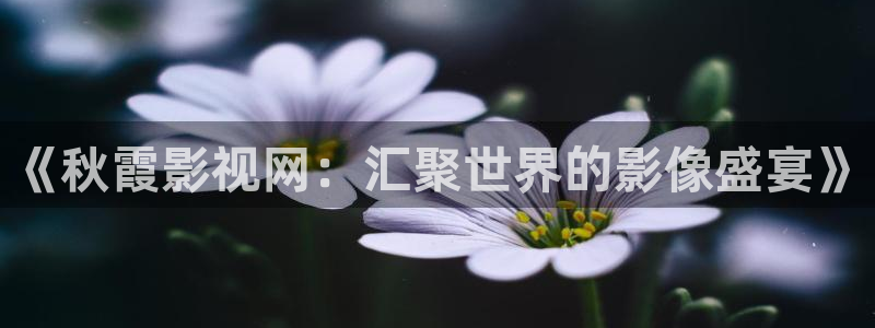 a午夜影院：《秋霞影视网：汇聚世界的影像盛宴》