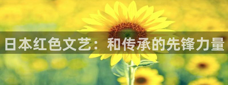 午夜影院电影av：日本红色文艺：和传承的先锋力量