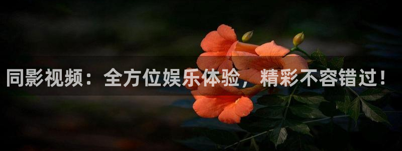 成年私人午夜影视免费