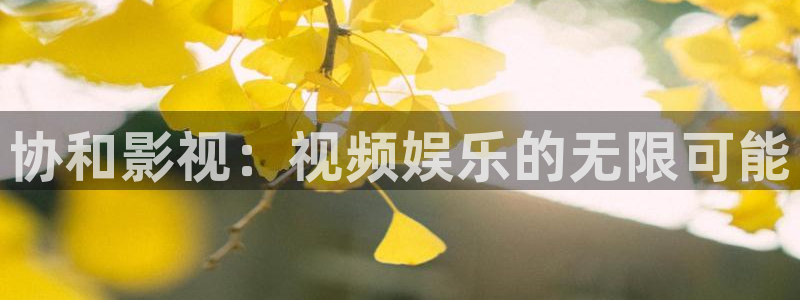 谷露午夜电影