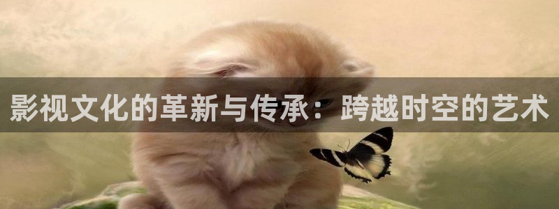 午夜a私人影院