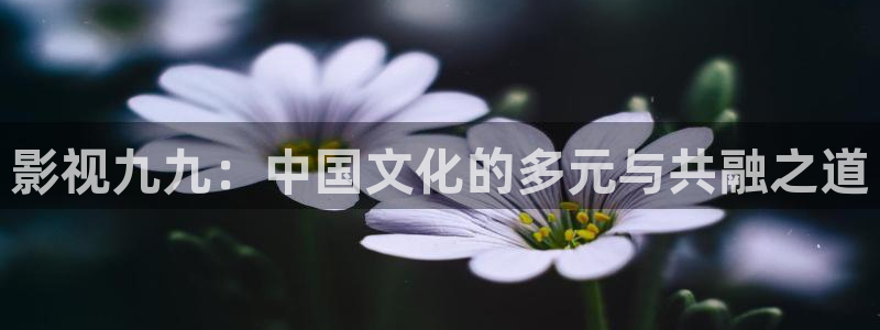 95午夜电影：影视九九：中国文化的多元与共融之道