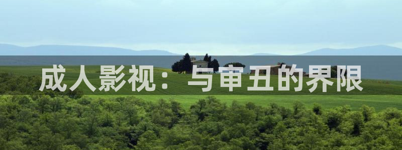 神马电影午夜手机在线观看：成人影视：与审丑的界限