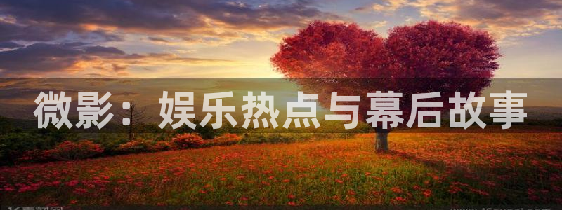 午夜宅男福利在线视频：微影：娱乐热点与幕后故事