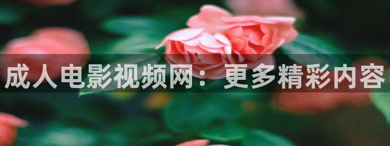 欧美午夜影院：成人电影视频网：更多精彩内容