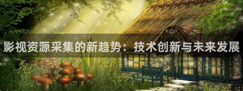 国产观看午夜大片：影视资源采集的新趋势：技术创新与未来发展