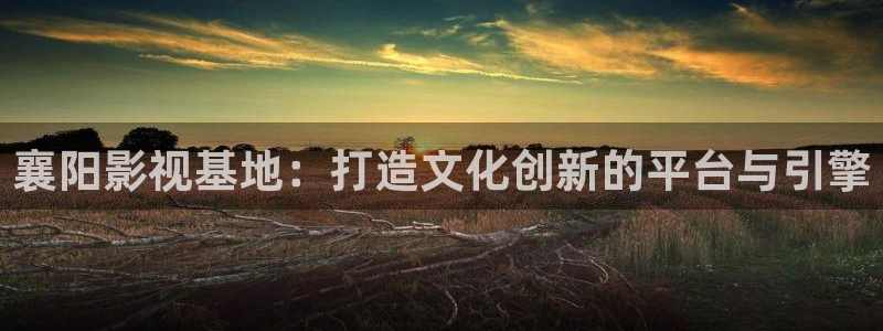 午夜宅男在线福利视频：襄阳影视基地：打造文化创新的平台与引擎