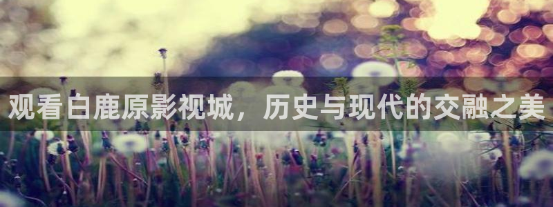 成人午夜免费电影在线观看